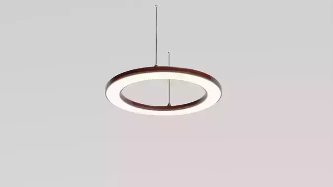Modern Ceiling Lamp