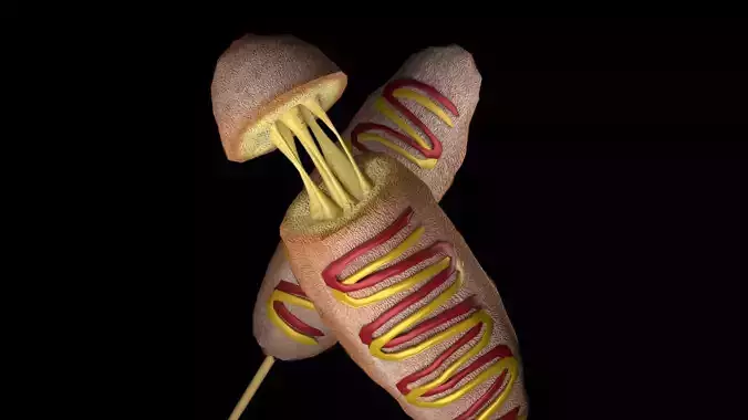 Corndogs hot dog on stick Low-poly 3D model