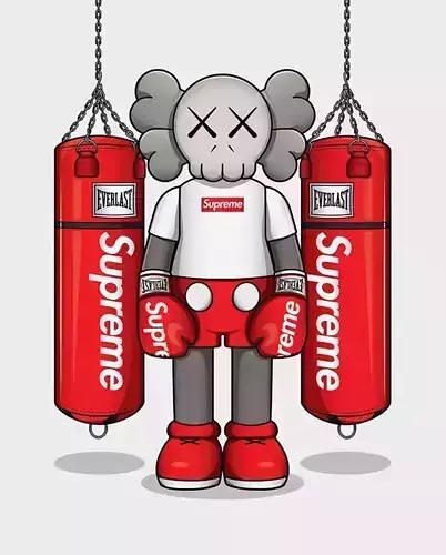 Kaws Box Supreme for Print