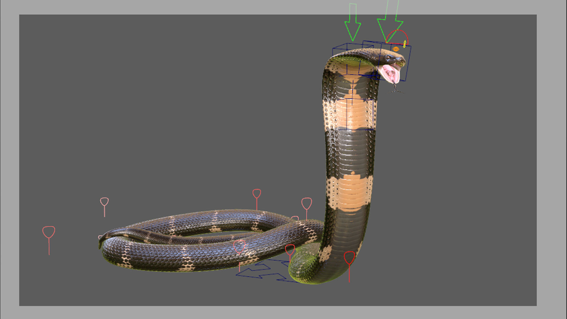 King Cobra Rig Realistic Low-poly 3D model_4