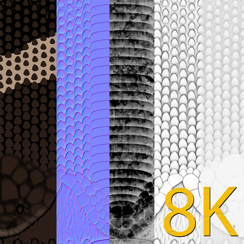 King Cobra Rig Realistic Low-poly 3D model_6