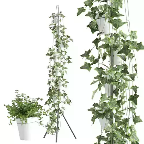 Porcelain vase system for hydroponic cultivation