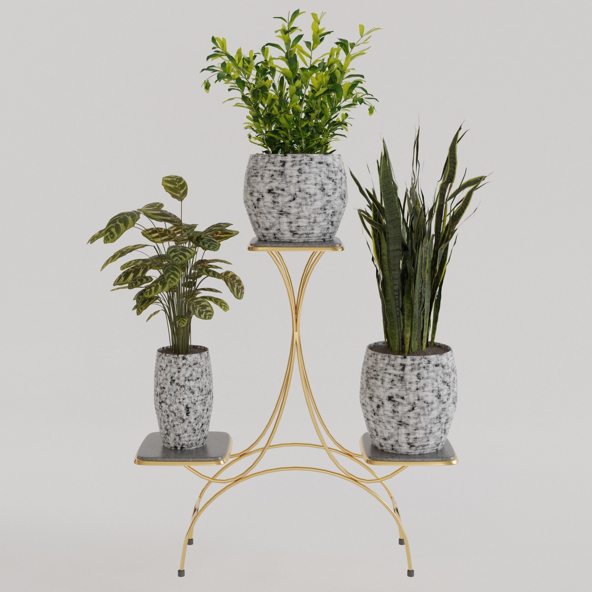 Pots with Plants 3D model_1