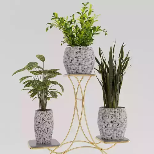 Pots with Plants 3D model