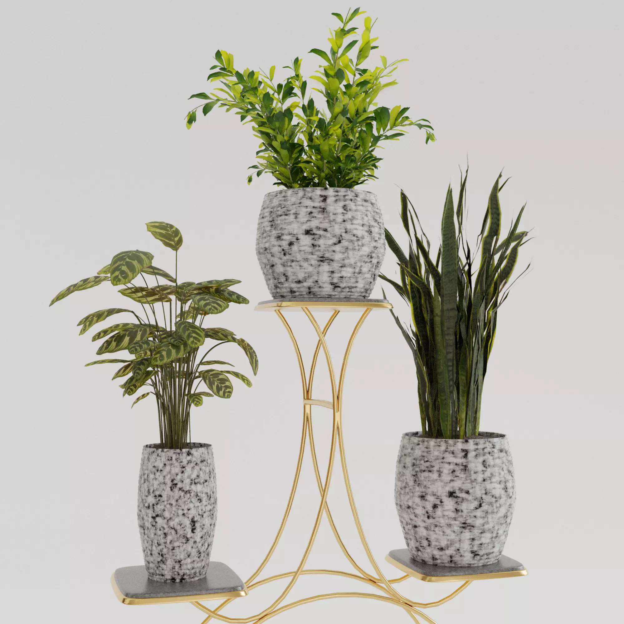 Pots with Plants 3D model_0