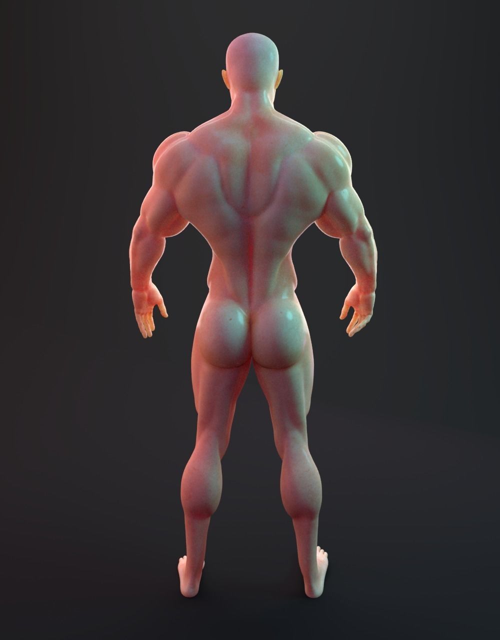 Male Bodybuilder 3D models 3D model_2