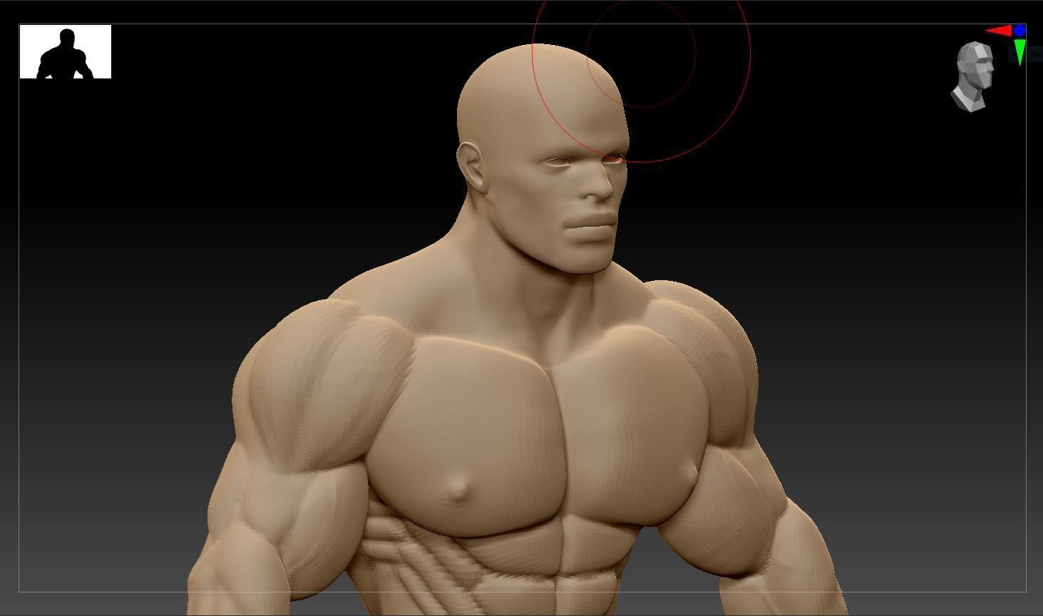 Male Bodybuilder 3D models 3D model_6