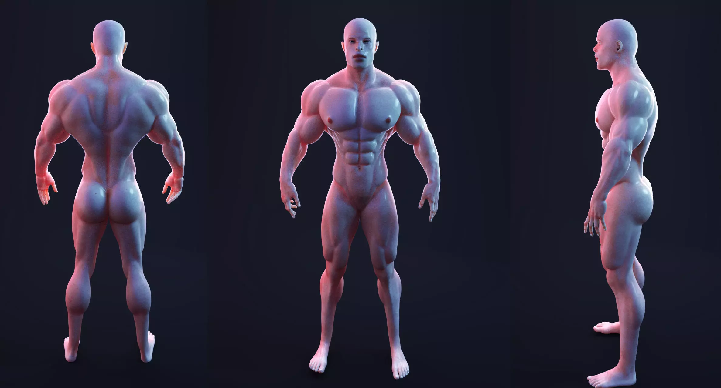 Male Bodybuilder 3D models 3D model_0