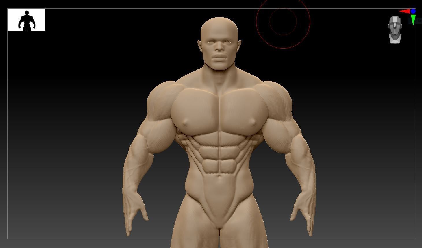Male Bodybuilder 3D models 3D model_4