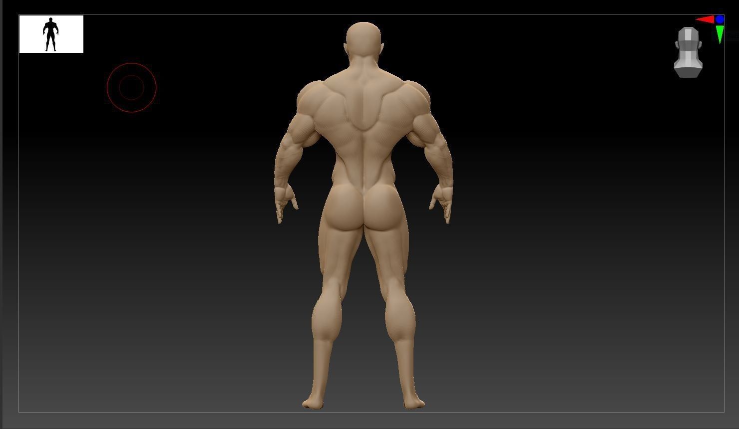 Male Bodybuilder 3D models 3D model_7
