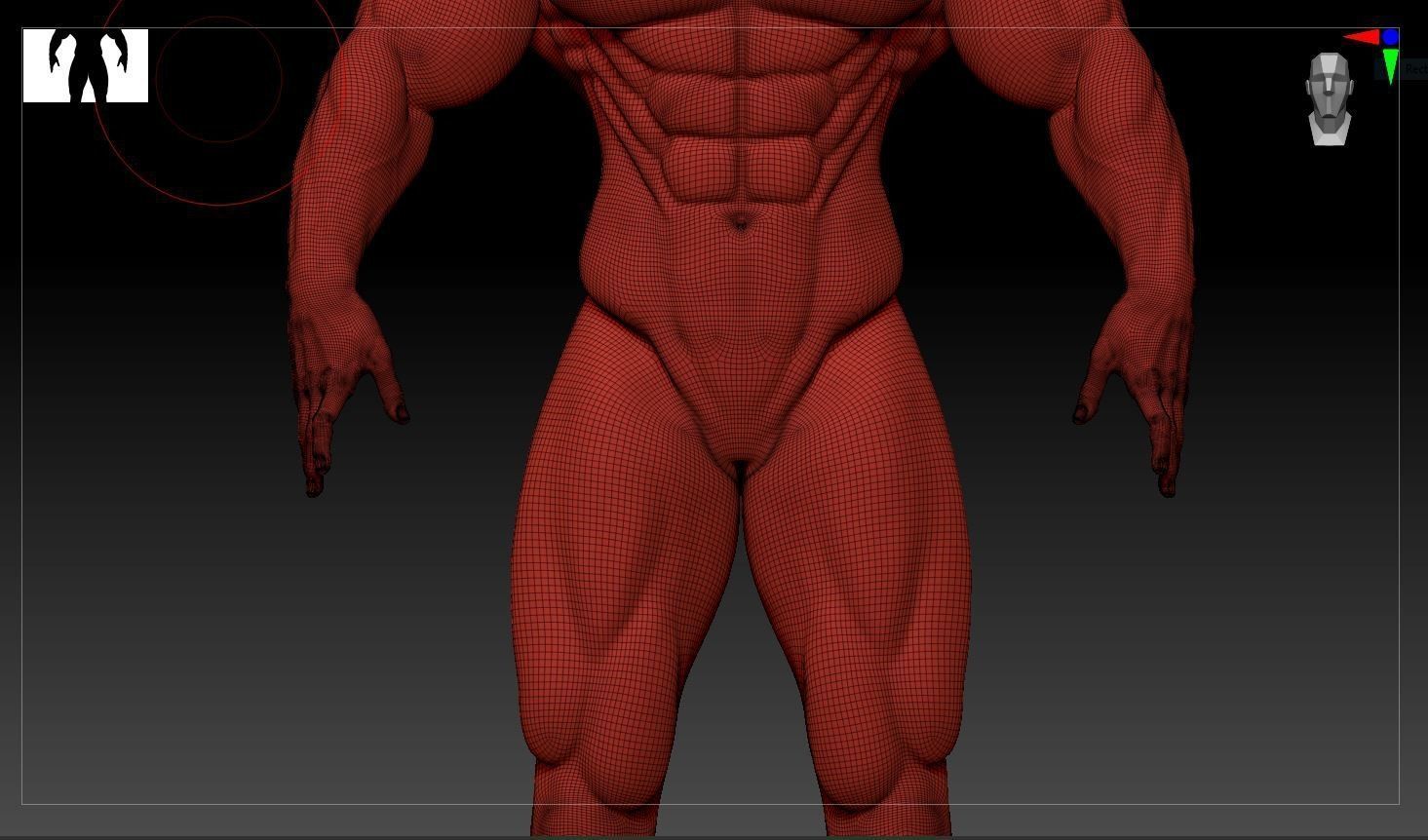 Male Bodybuilder 3D models 3D model_9