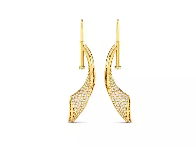 Earrings - 8765
