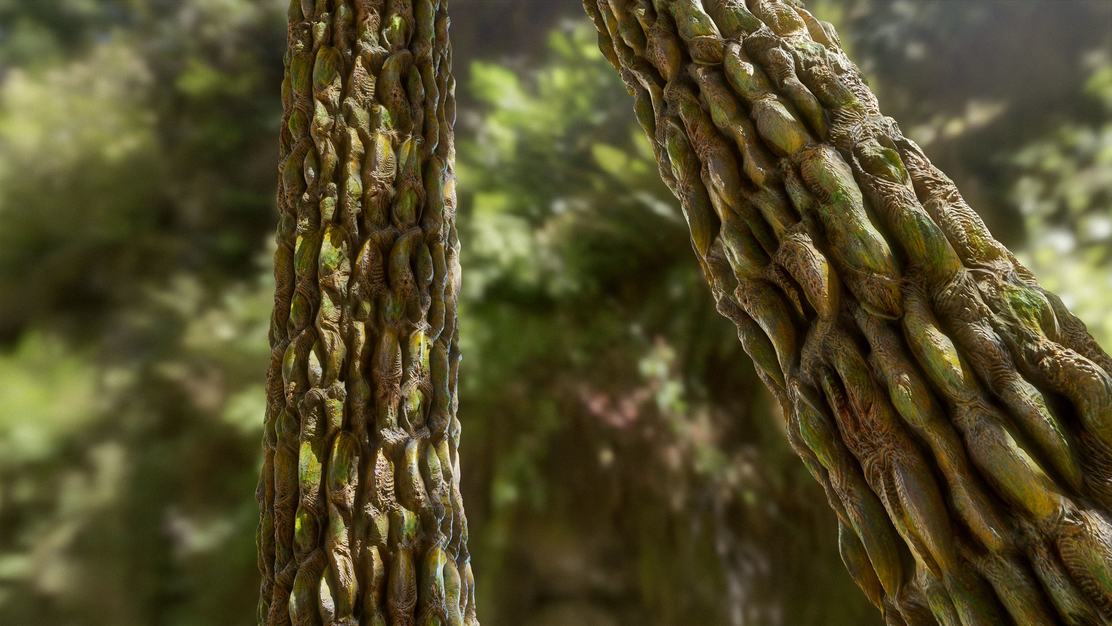 Fantasy Tree Bark Texture_7