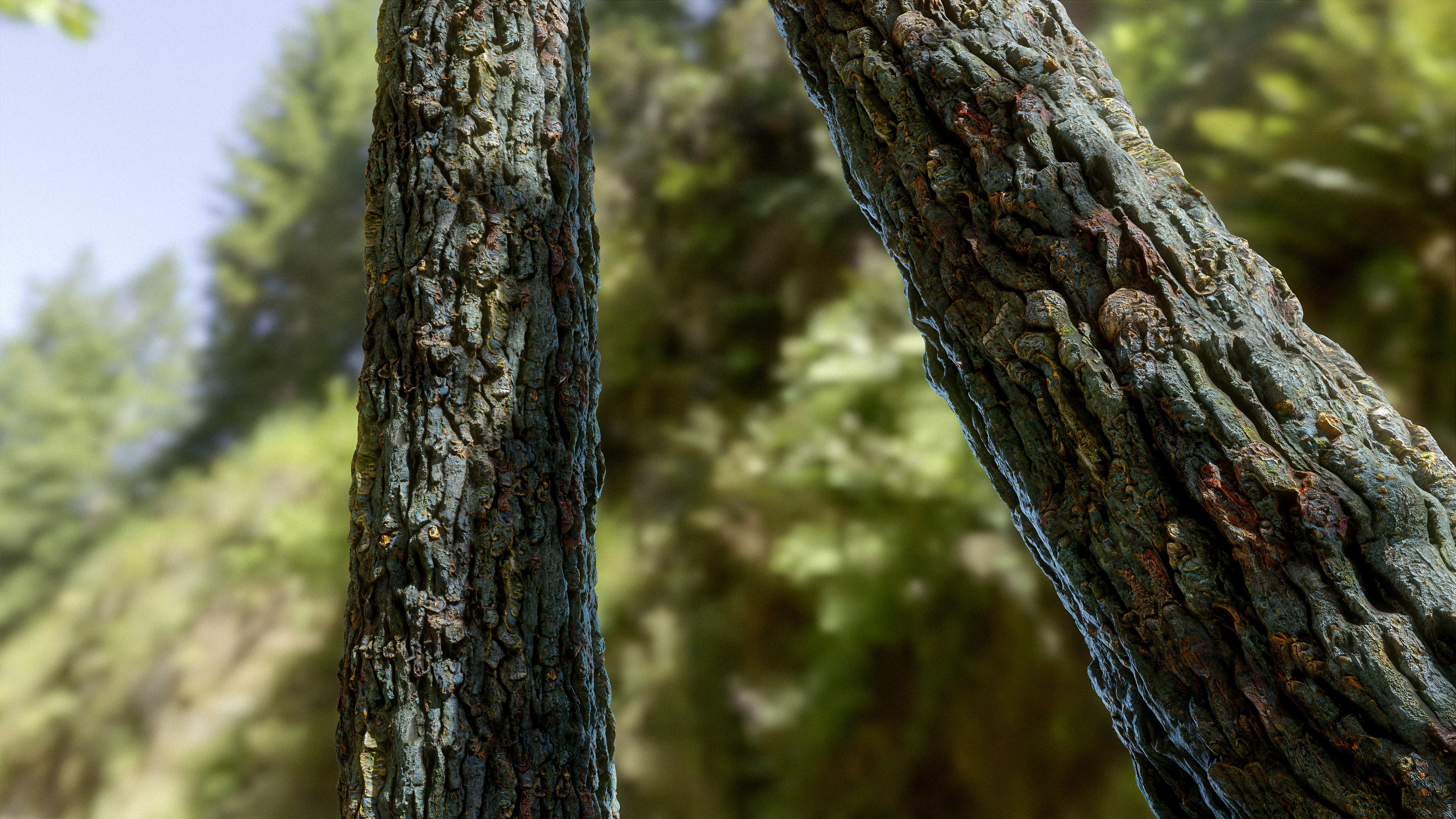 Fantasy Tree Bark Texture_5