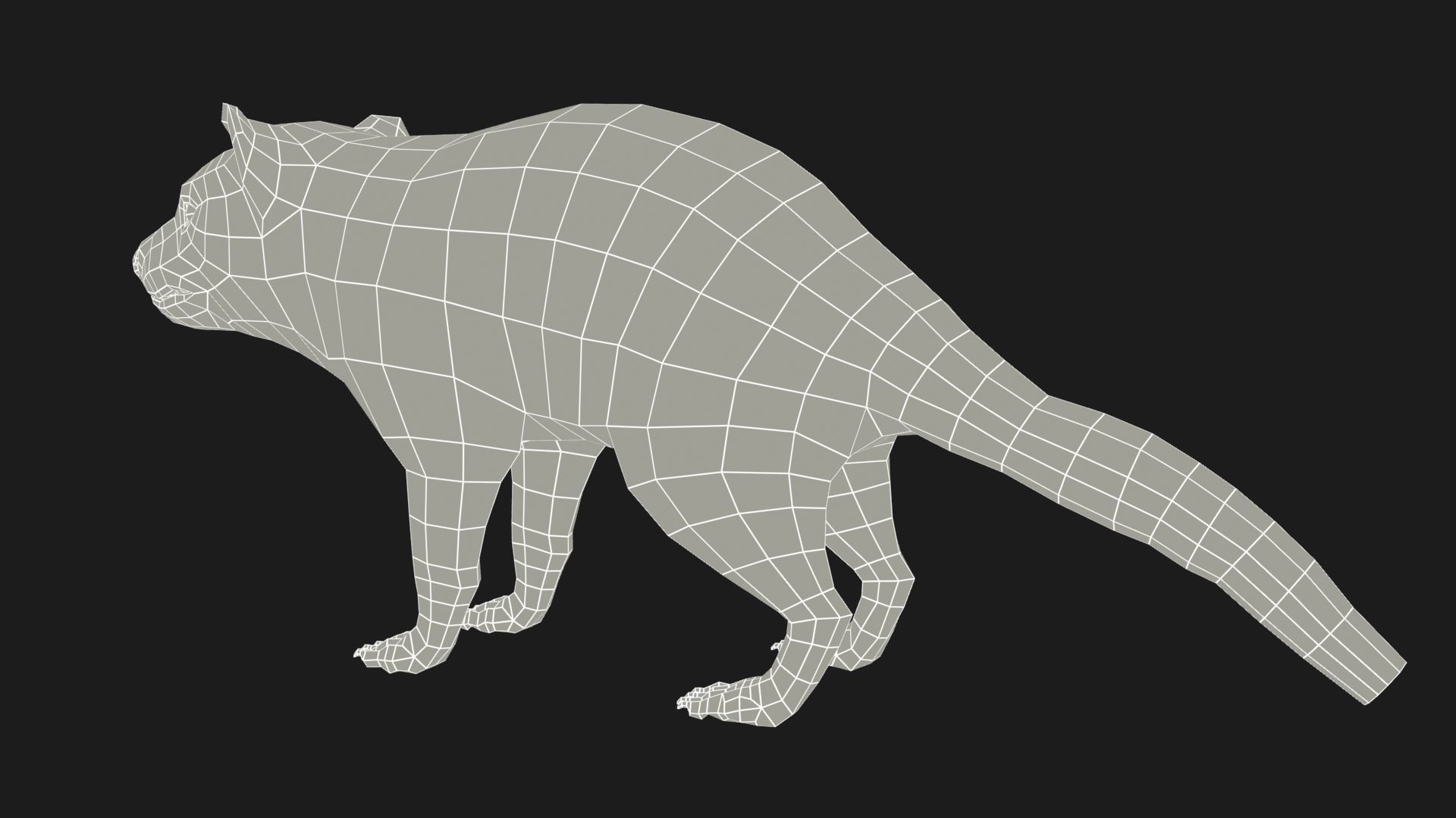 Tasmanian Devil Low-poly 3D model_13