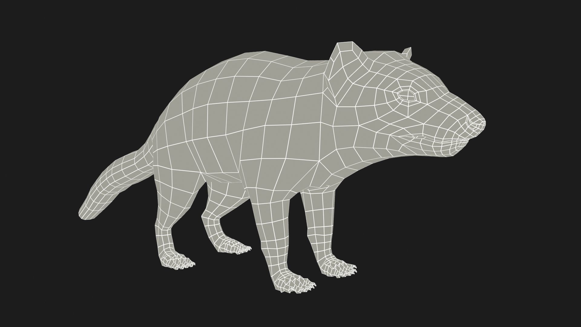 Tasmanian Devil Low-poly 3D model_12