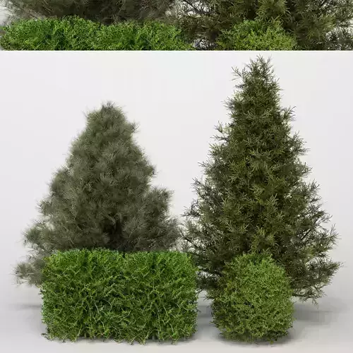 Outdoor Plants set 05