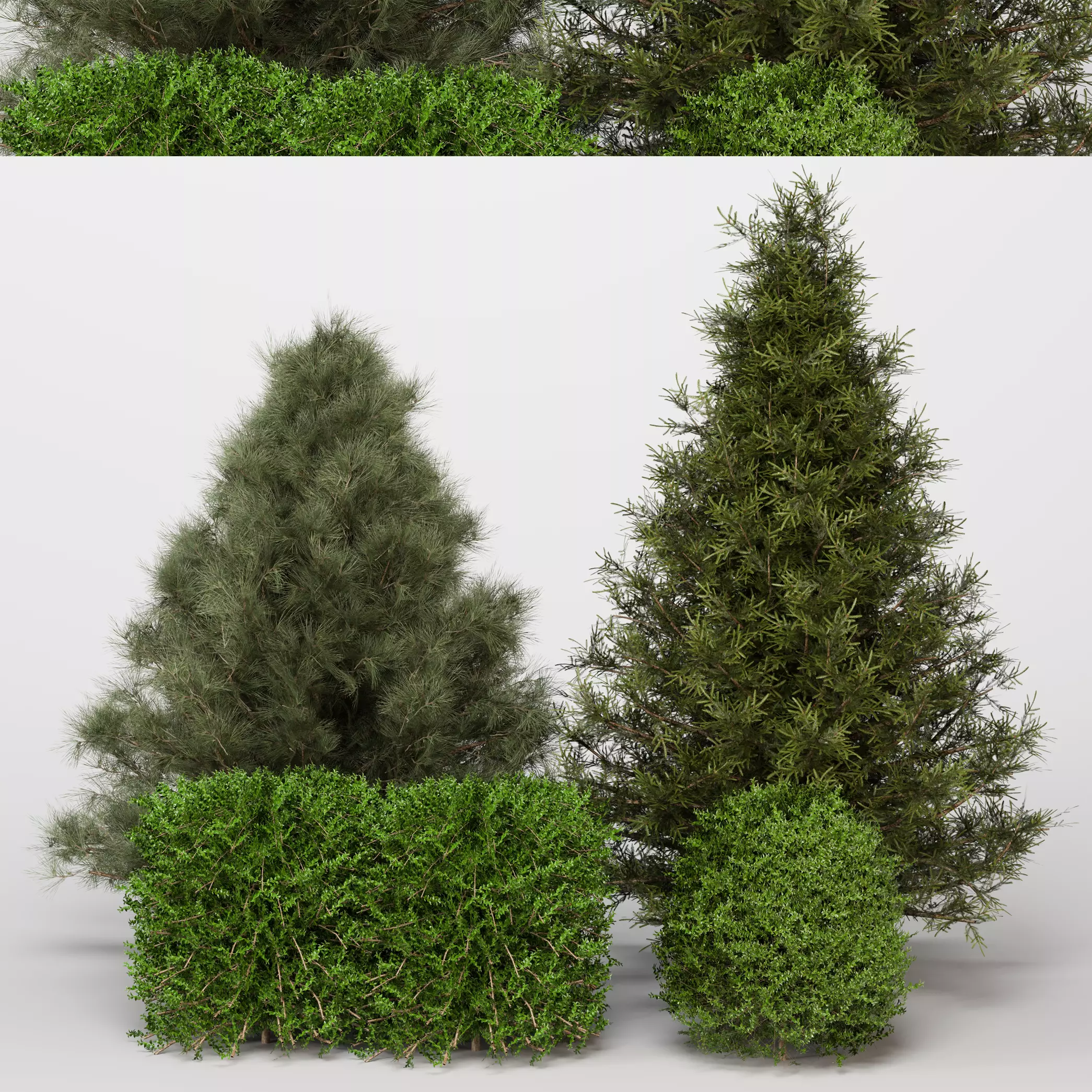 Outdoor Plants set 05 3D model