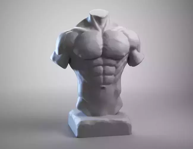 Torso a01 3d print model 3D print model
