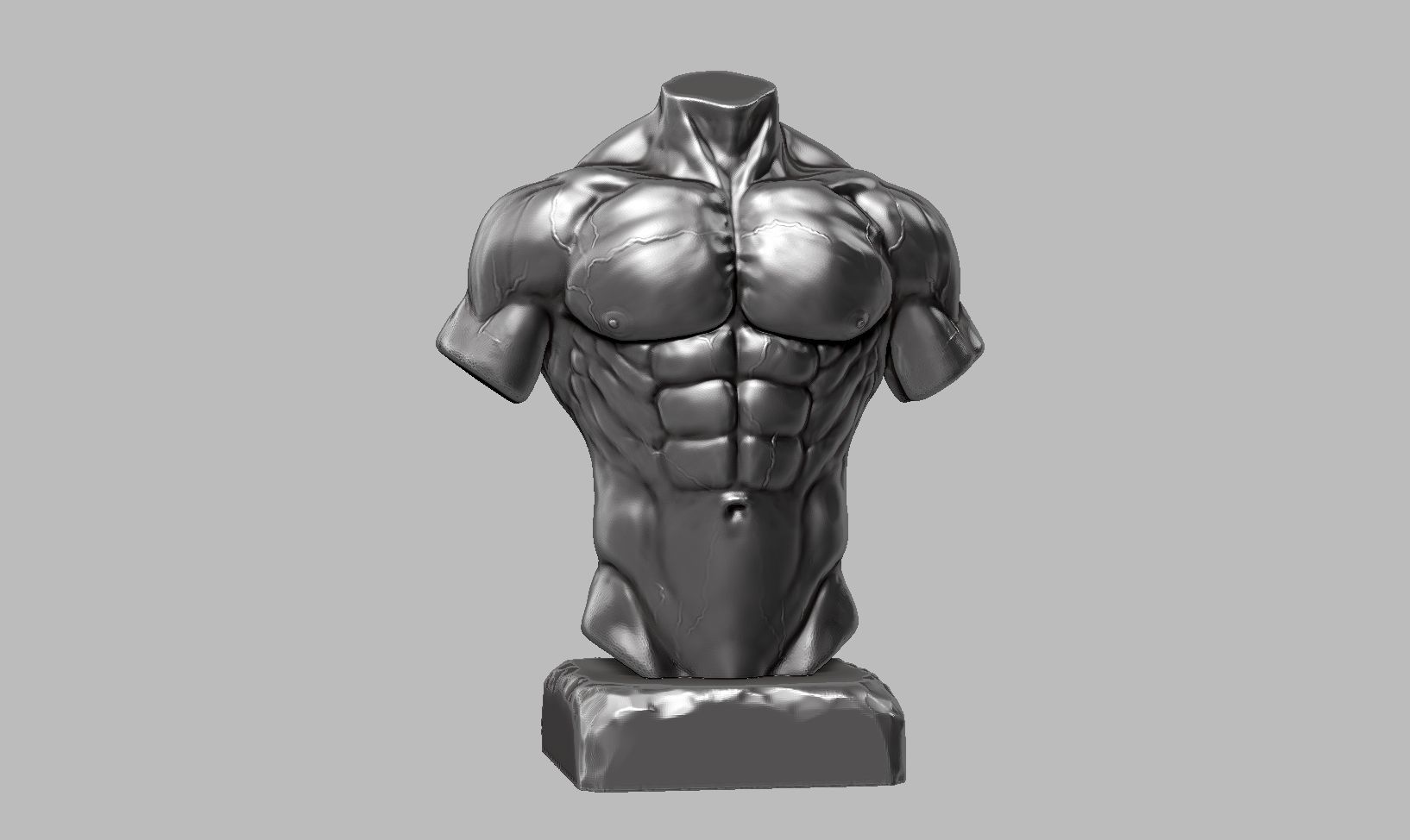 Torso a01 3d print model 3D print model_2
