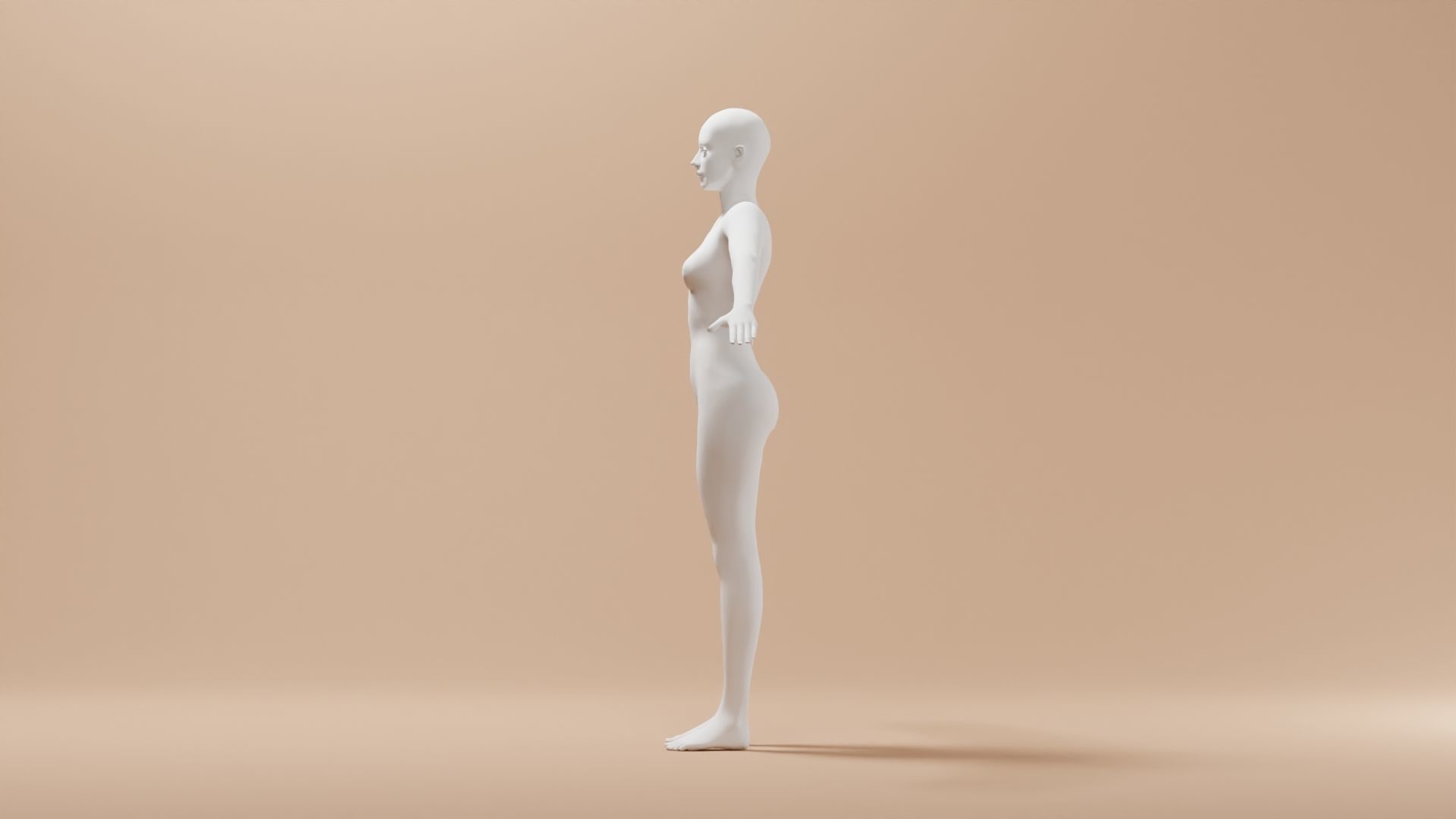 Base Meshes Characters Starter Kit High-Poly Pack 3D model_25