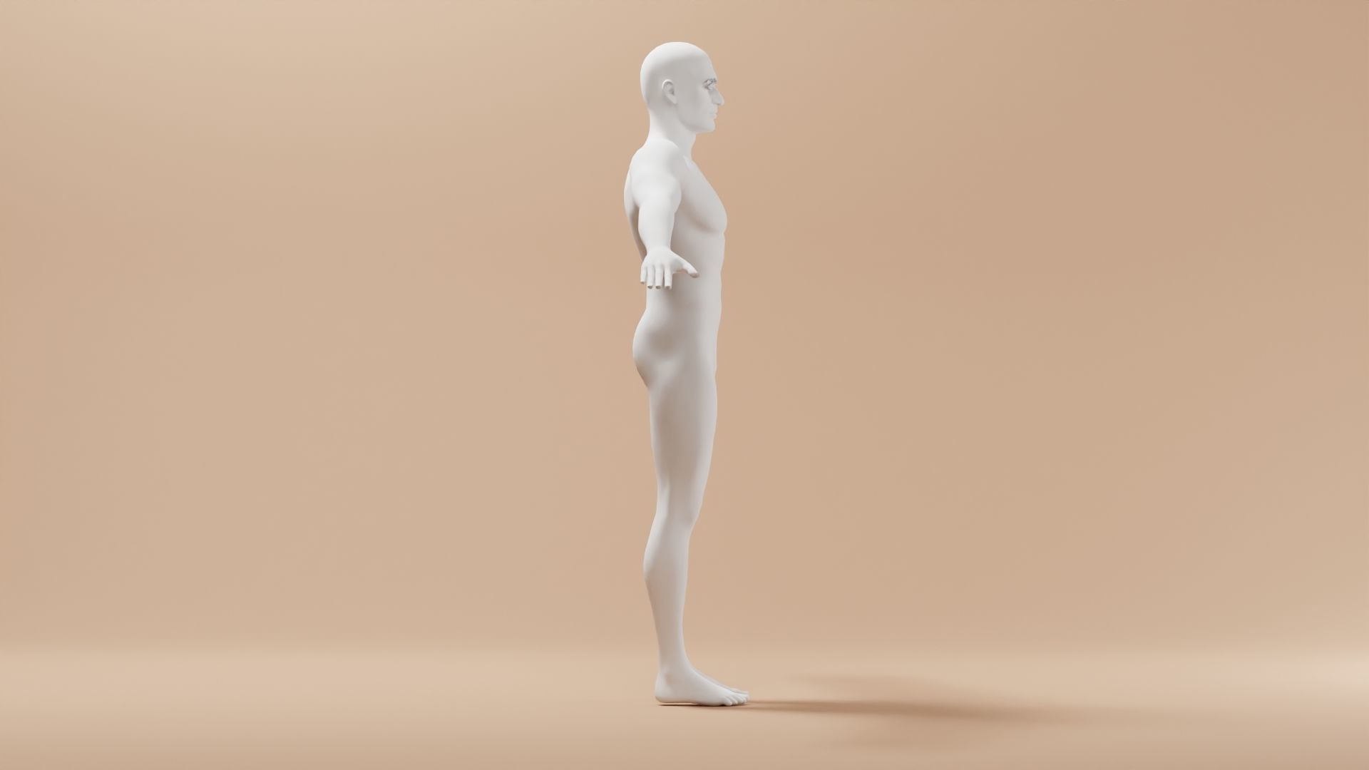 Base Meshes Characters Starter Kit High-Poly Pack 3D model_3