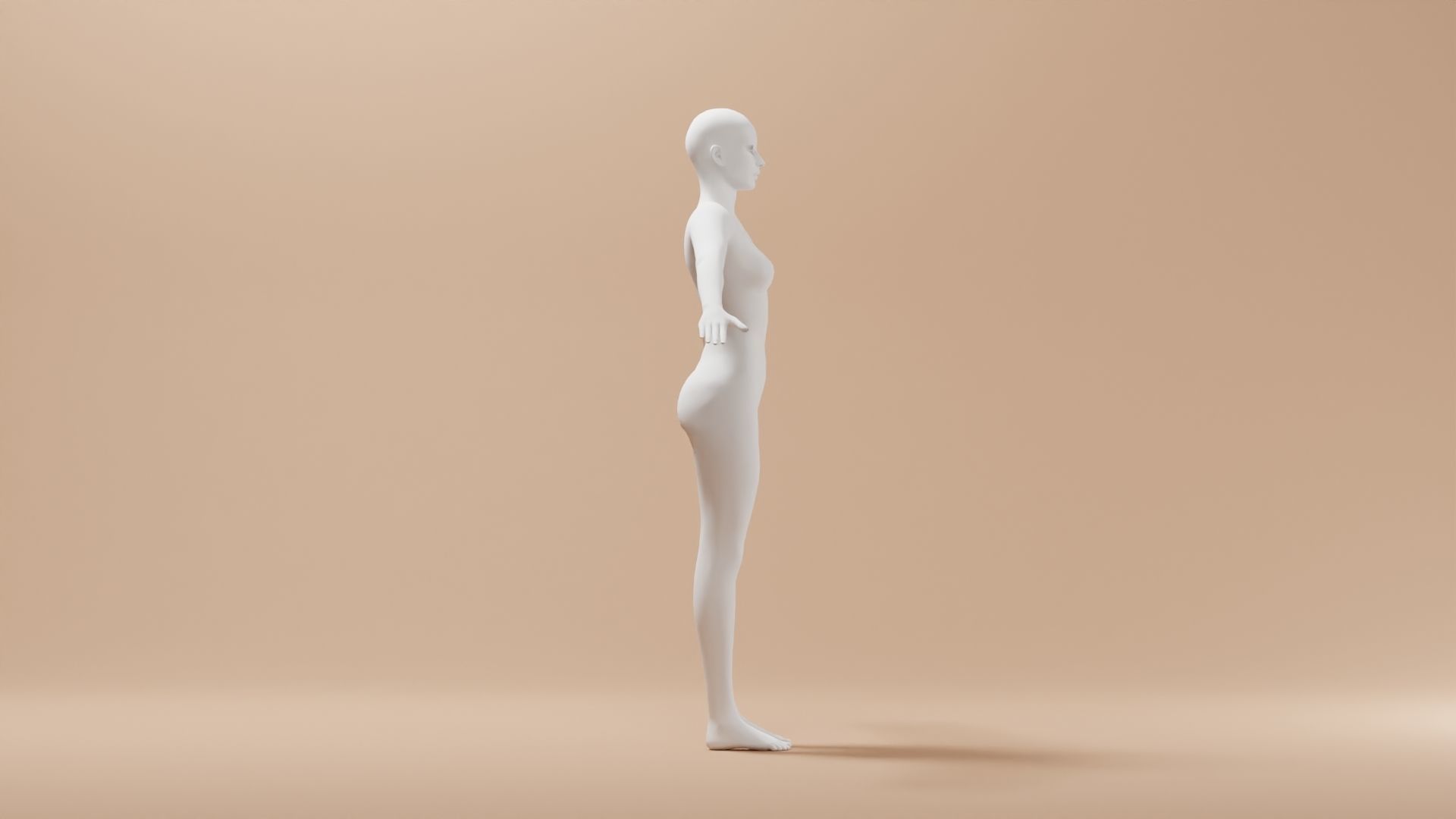 Base Meshes Characters Starter Kit High-Poly Pack 3D model_23