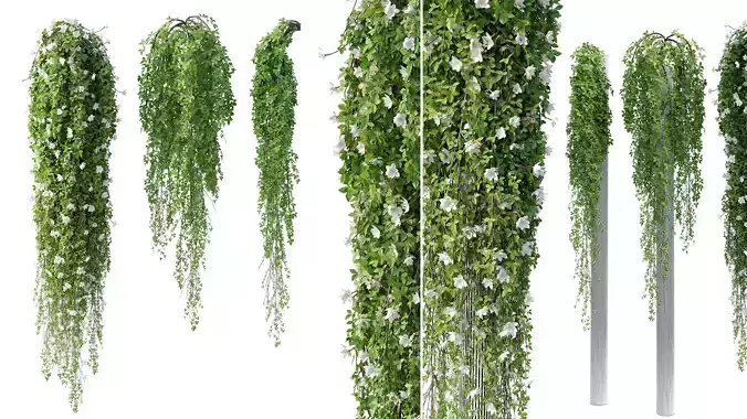 Hanging plant 35 3D model