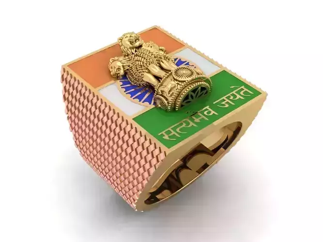 The Indian Triranga Ashoka Ring 3D print model
