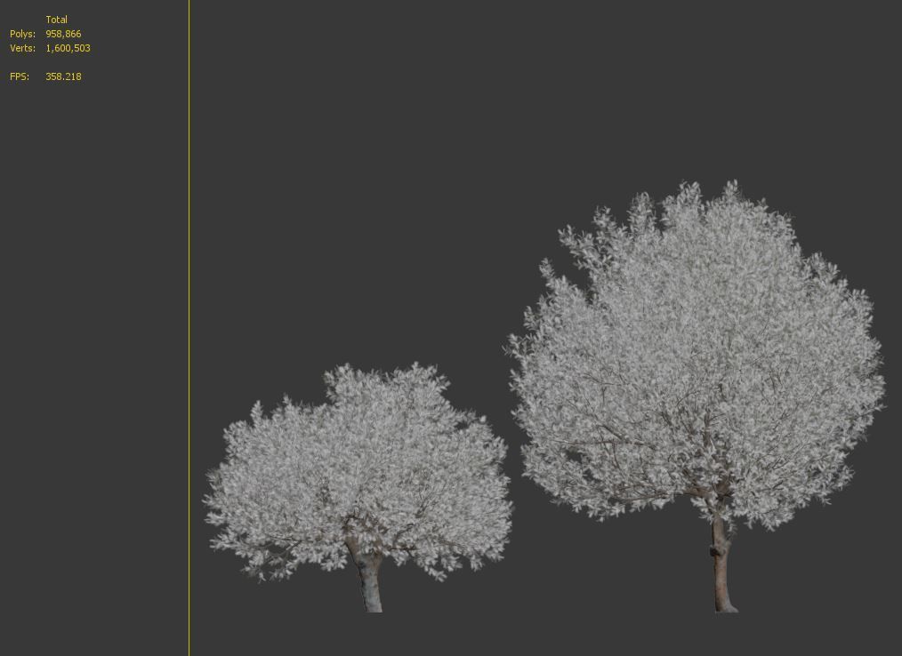 Olive tree 03 3D model_7