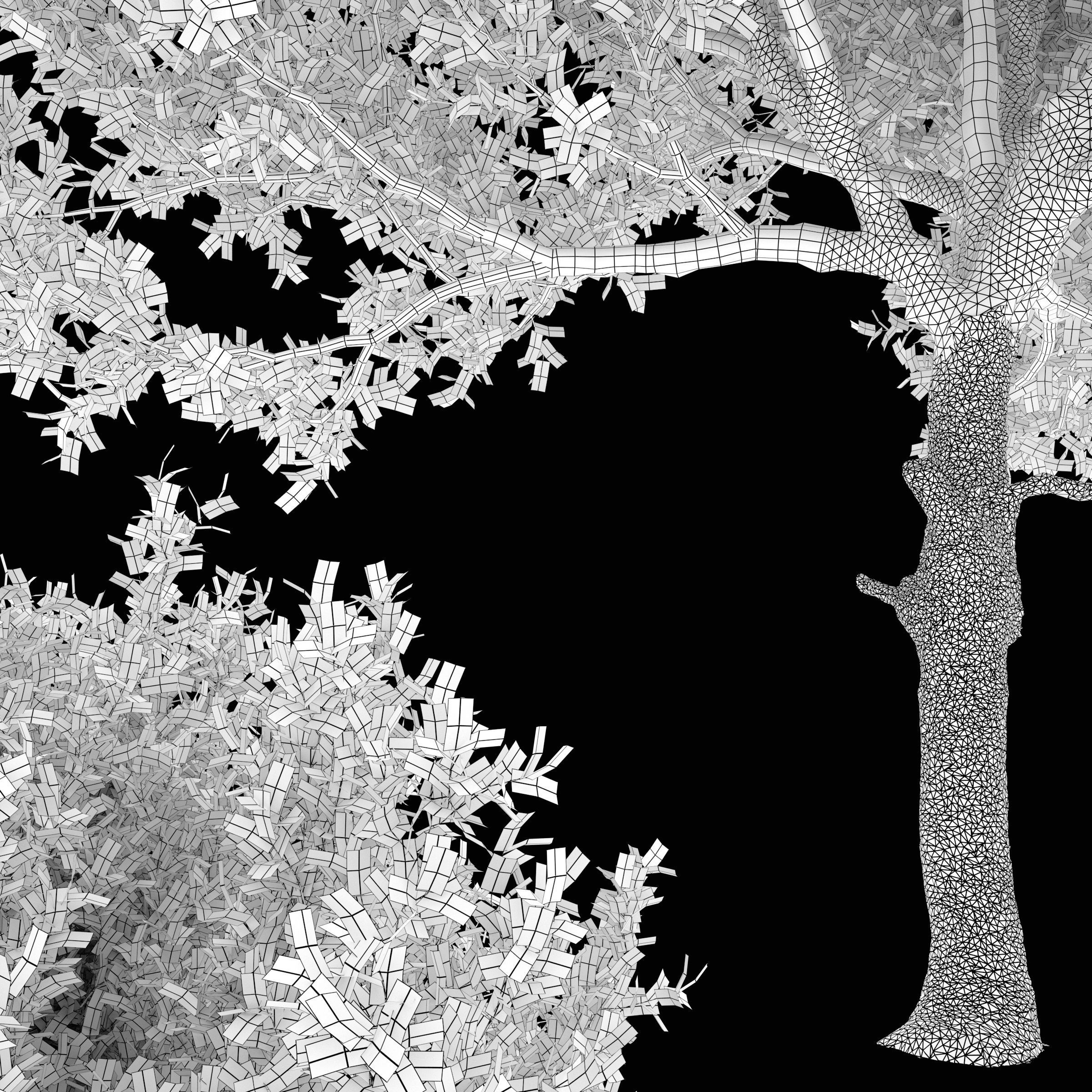 Olive tree 03 3D model_6