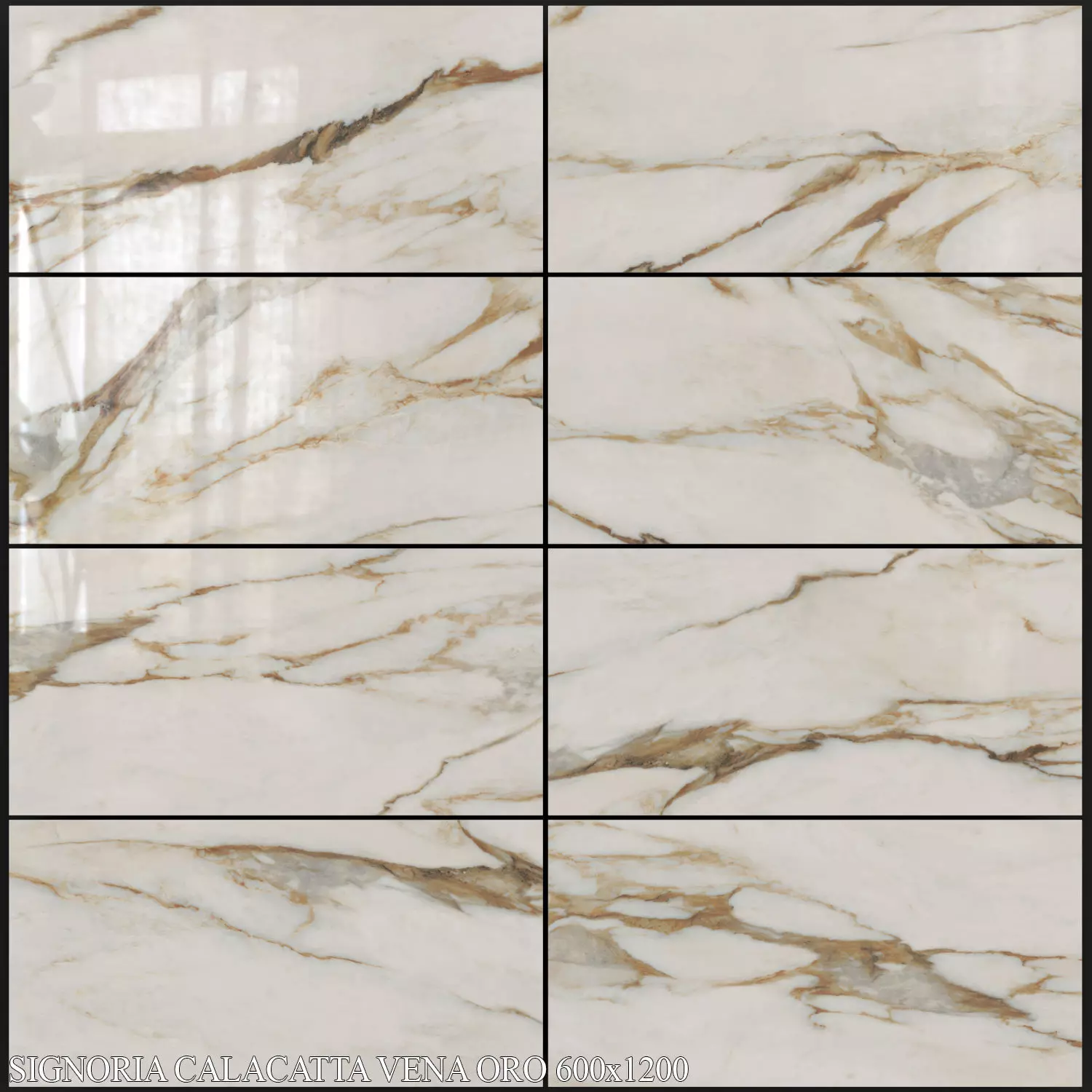ABK Sensi Signoria Calacatta Vena Oro 600x1200 3D model_0