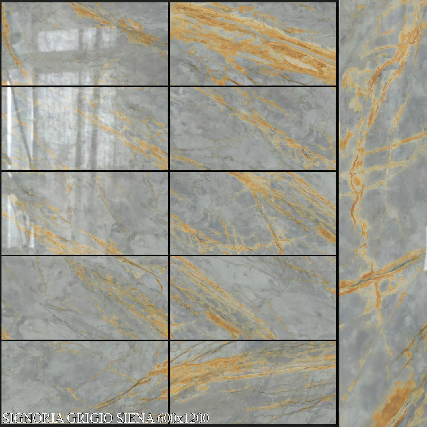 ABK Sensi Signoria Grigio Siena 600x1200 3D model_0