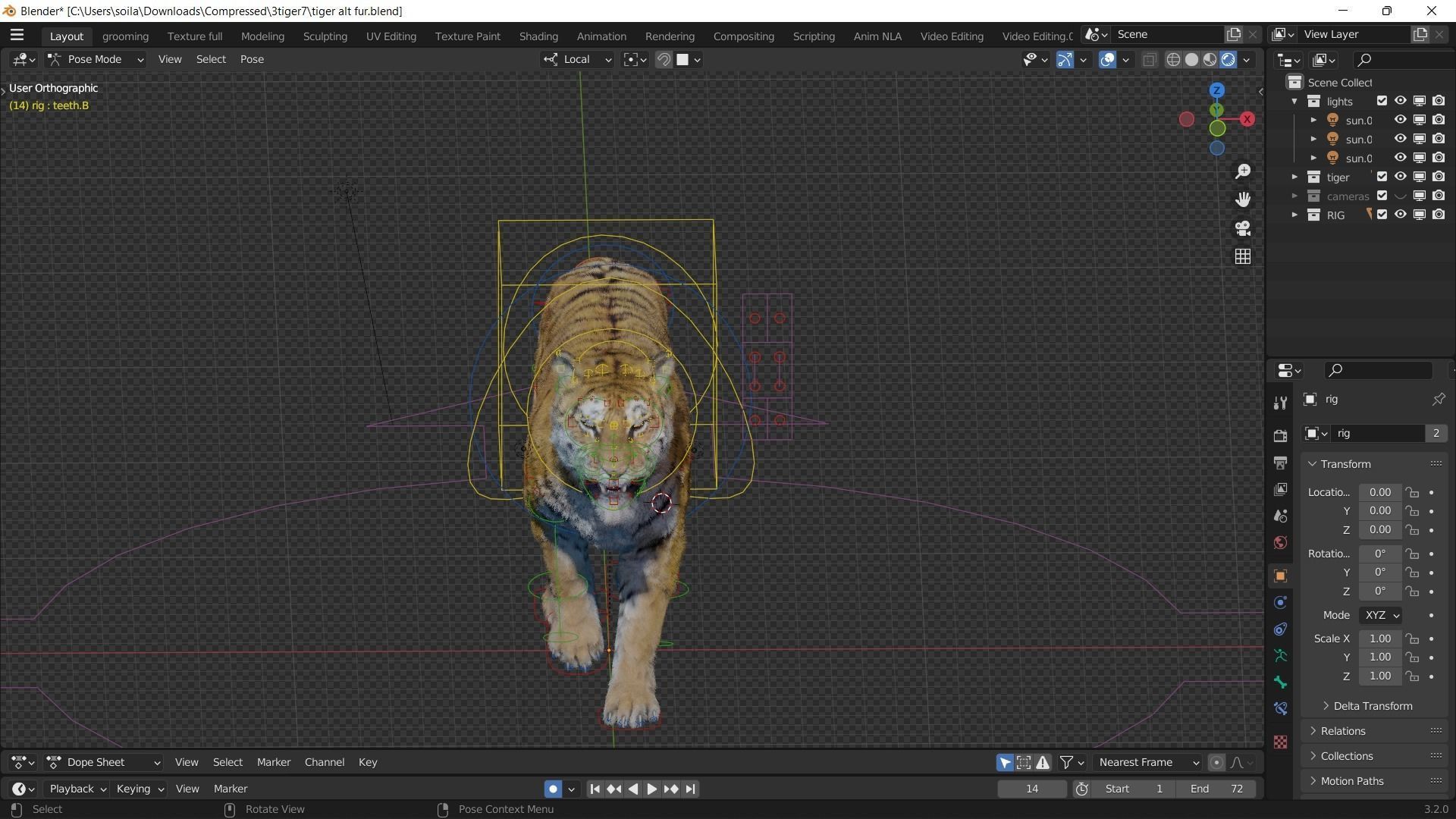 Realistic Tiger Rigged and Animated model- Blender 3D model_5