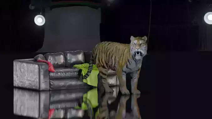 Realistic Tiger Rigged and Animated model- Blender 3D model