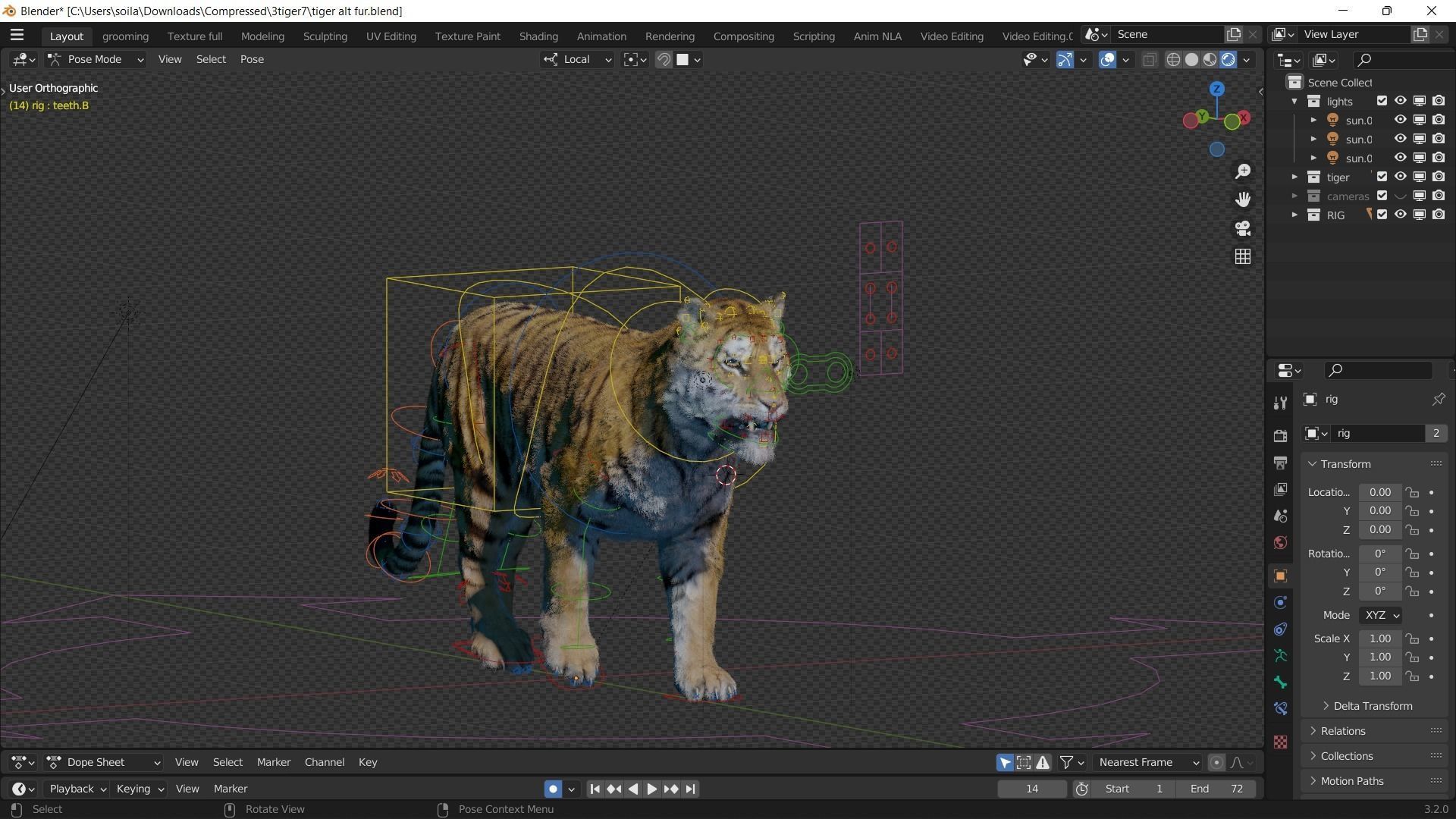 Realistic Tiger Rigged and Animated model- Blender 3D model_9