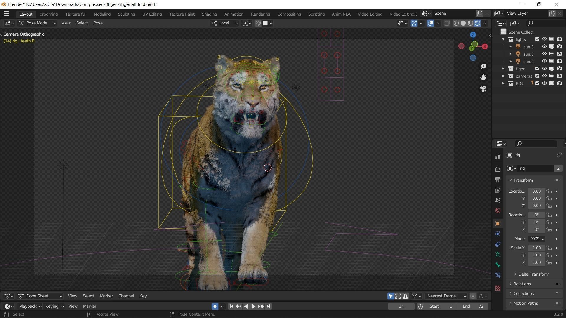 Realistic Tiger Rigged and Animated model- Blender 3D model_7