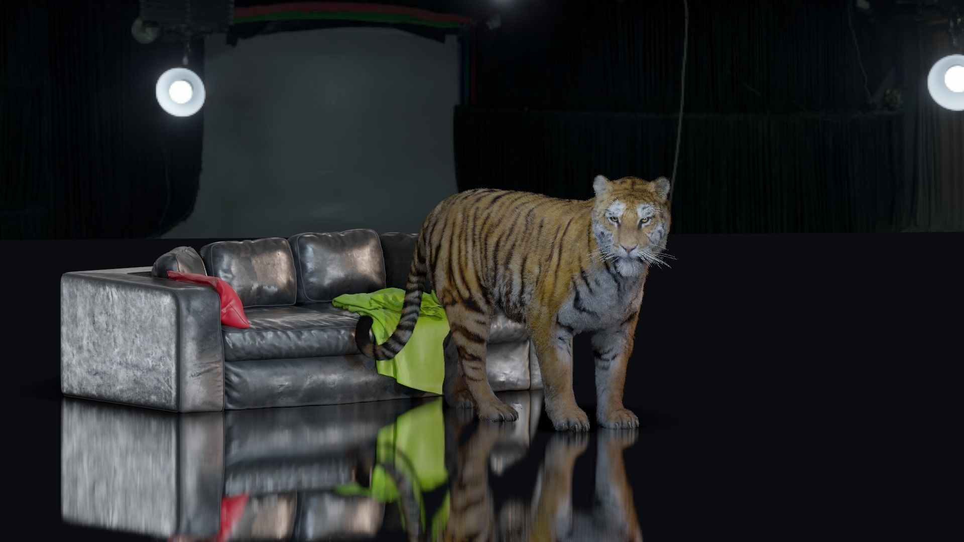 Realistic Tiger Rigged and Animated model- Blender 3D model_3