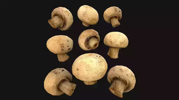 Champignon Mushrooms Low-poly 3D model
