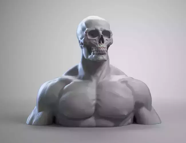 Skull head human a01 3D print model 3D print model