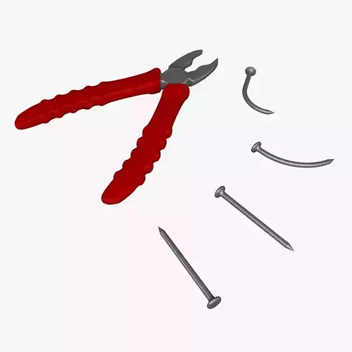 Pliers With Nails  3D model
