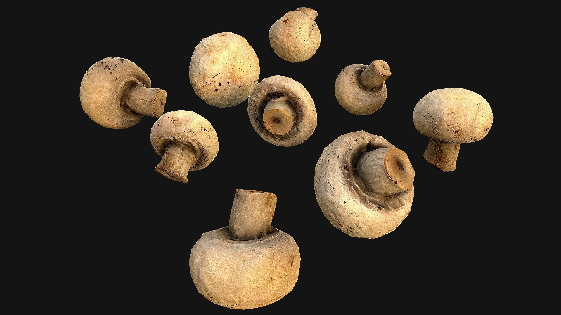 Mushrooms Crate Stand Box Low-poly 3D model_20