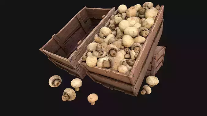 Mushrooms Crate Stand Box