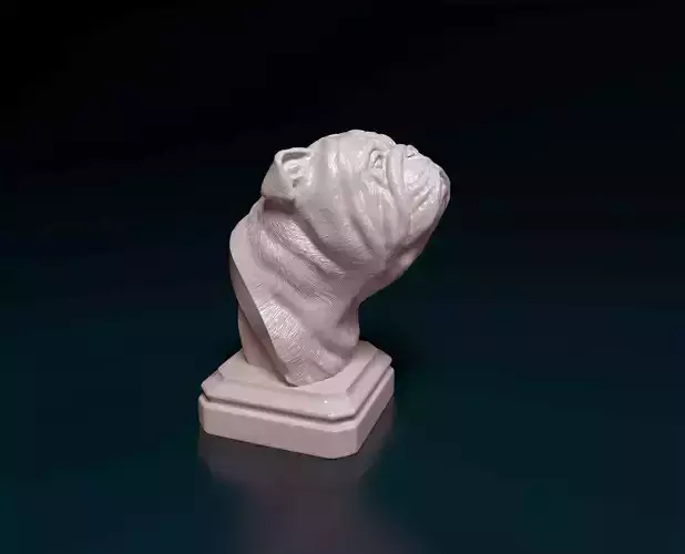 English Bulldog head bust 3D print model