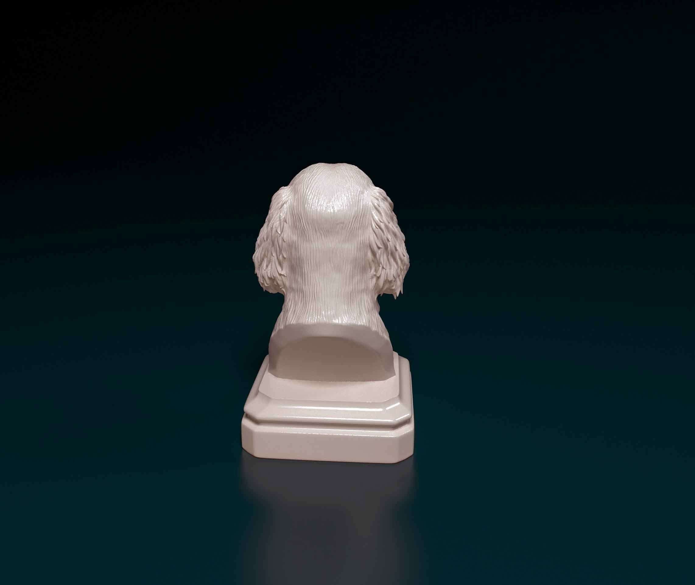 English Springer Spaniel head bust 3D print model_2