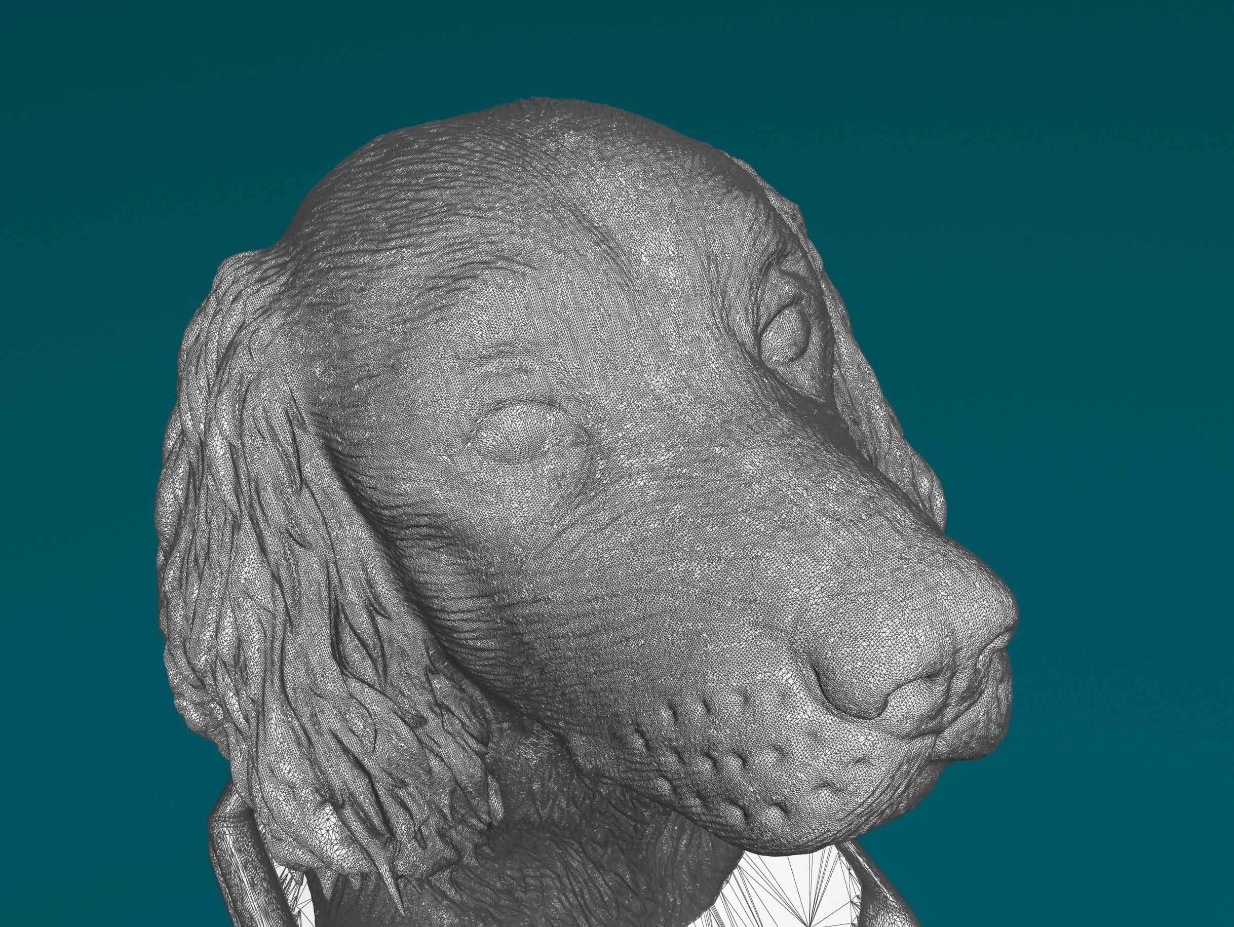 English Springer Spaniel head bust 3D print model_5