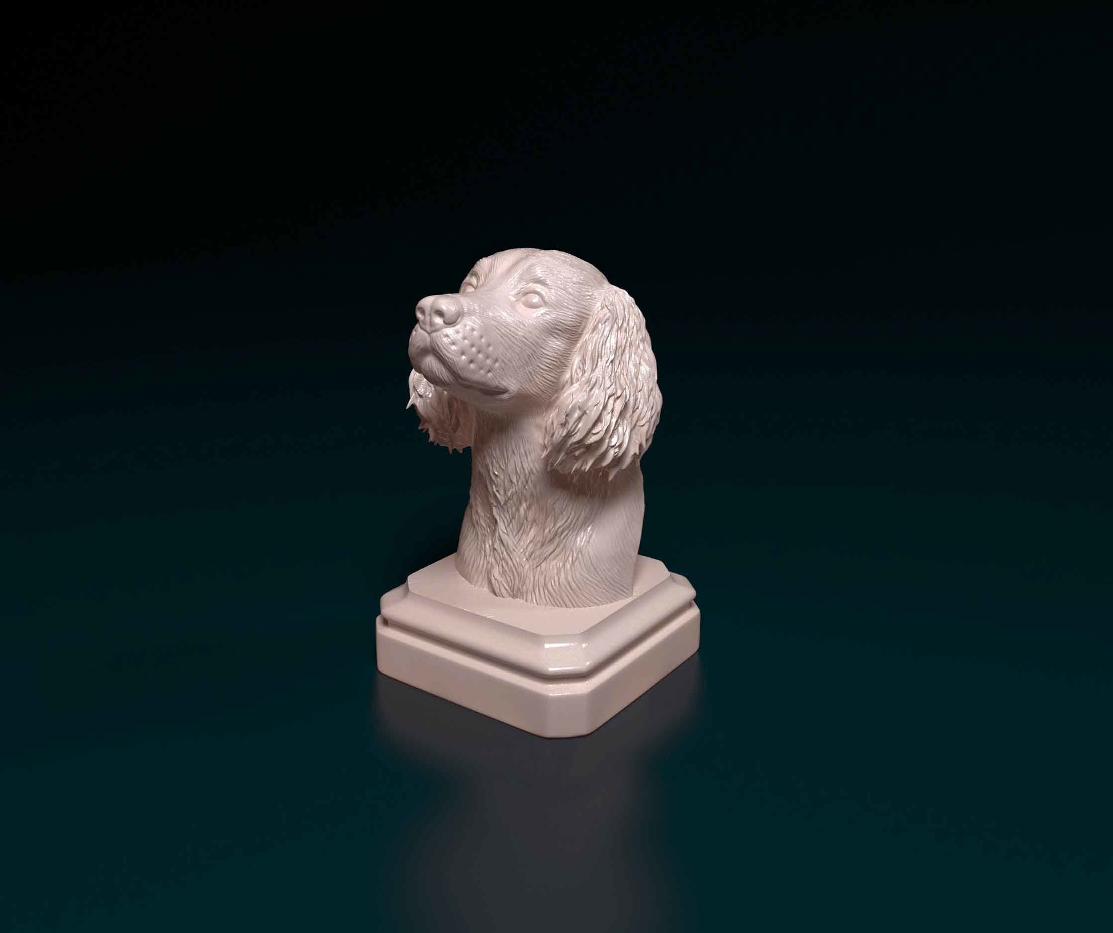 English Springer Spaniel head bust 3D print model_3