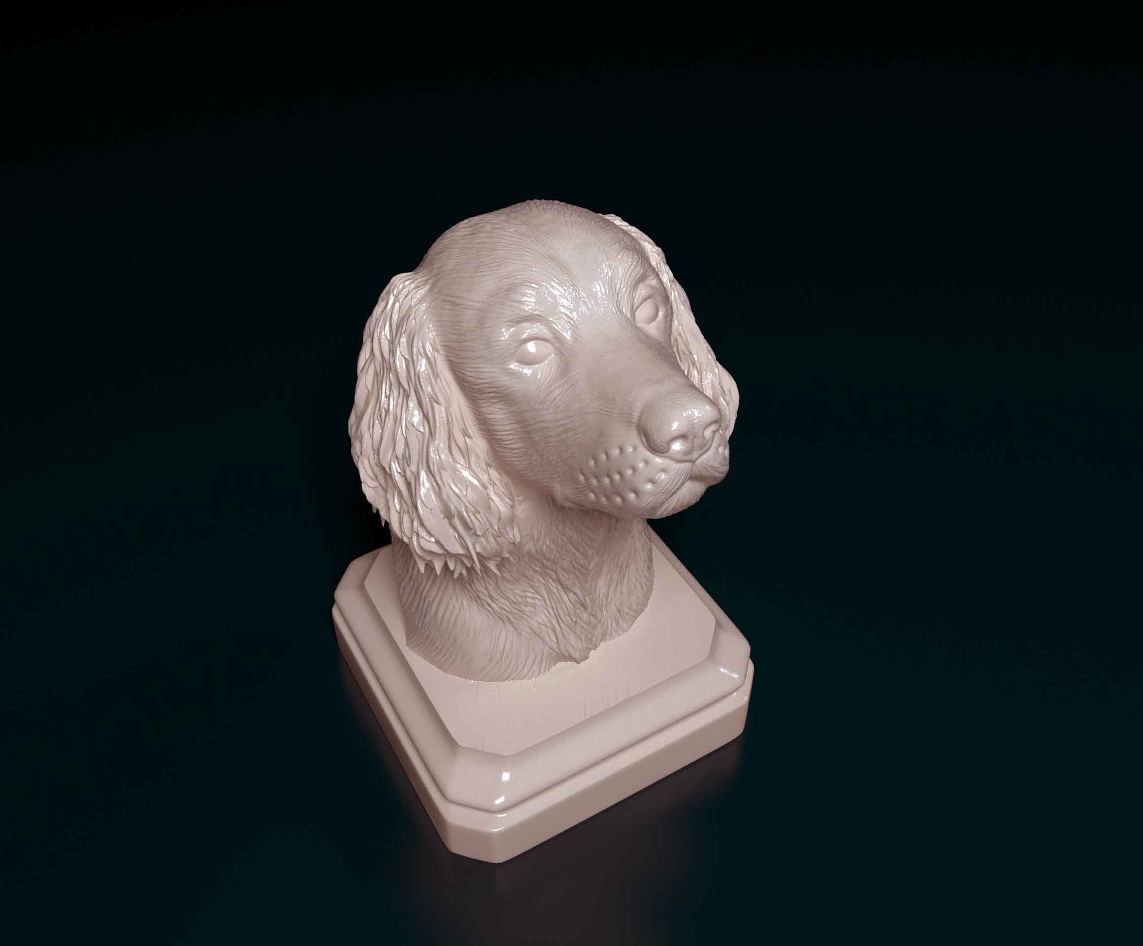 English Springer Spaniel head bust 3D print model_4