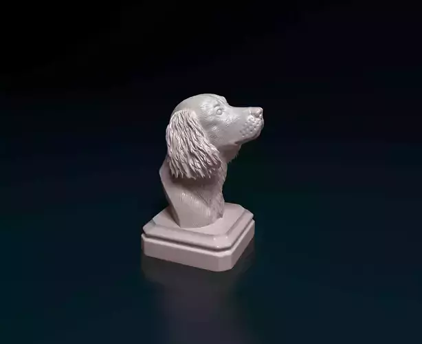 English Springer Spaniel head bust