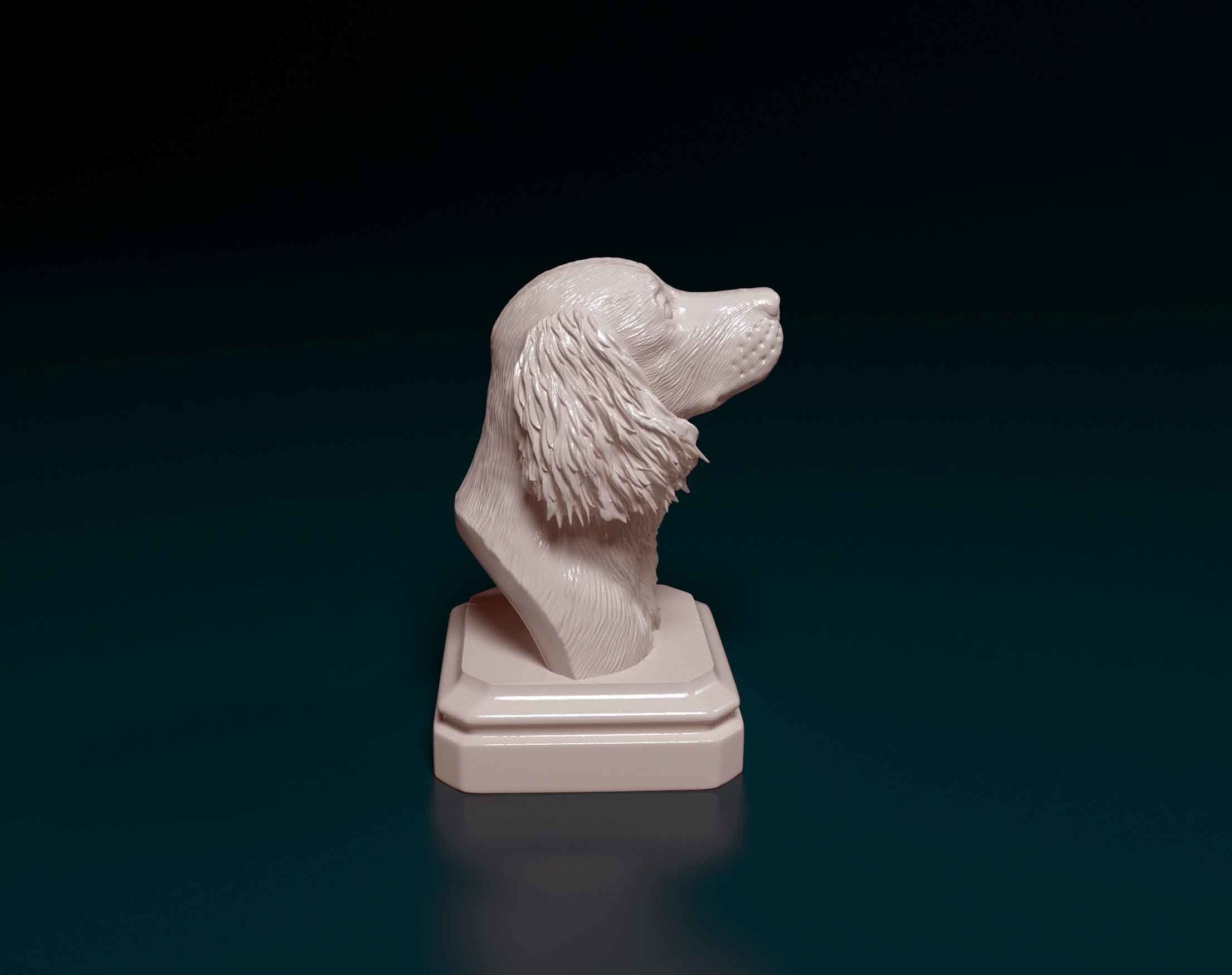 English Springer Spaniel head bust 3D print model_1